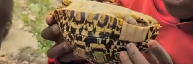 lloyalsucks's profile banner image