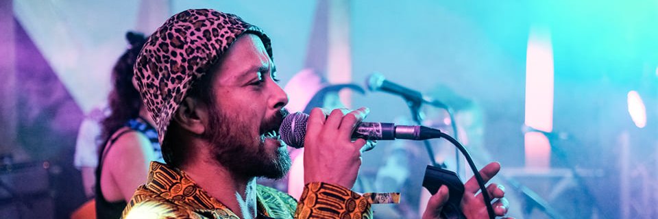 FelineSounds's profile banner image