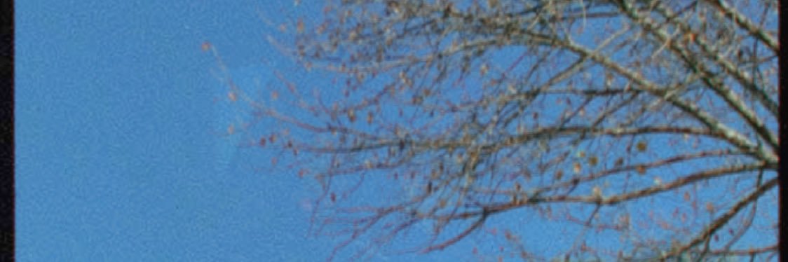 garcesss_3's profile banner image