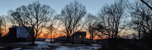 AnaMCurtis Profile Banner