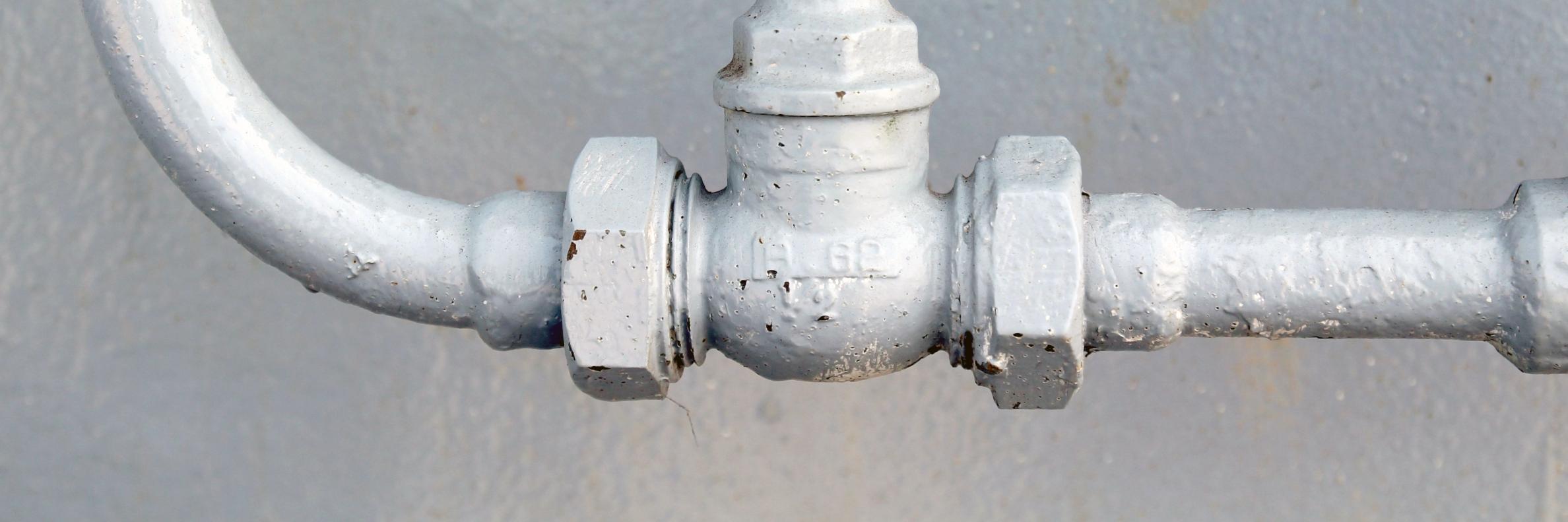 partridgeplumb's profile banner image