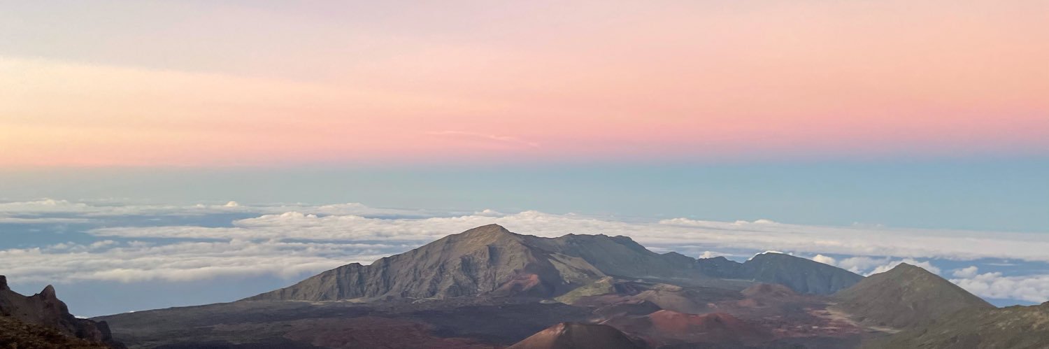 suuniiee's profile banner image