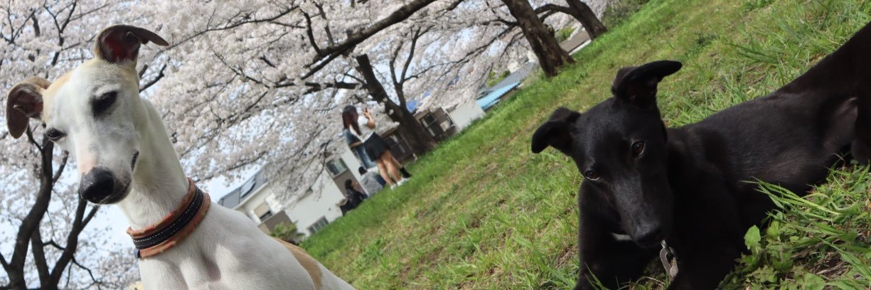 ひろき banner