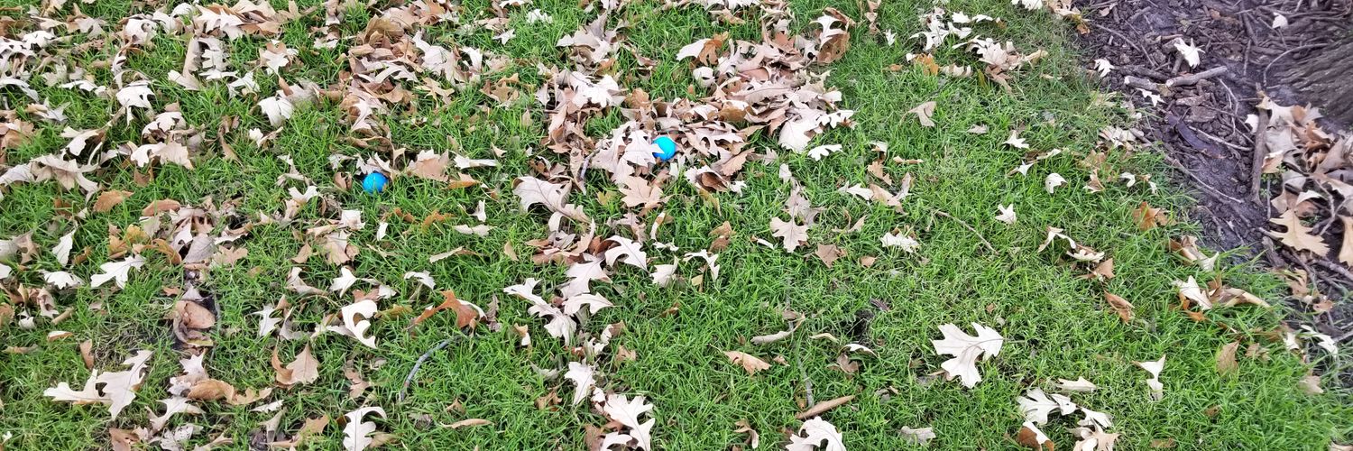 Scott Headington banner