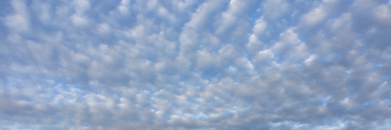 AlbertLeeNeuro's profile banner image