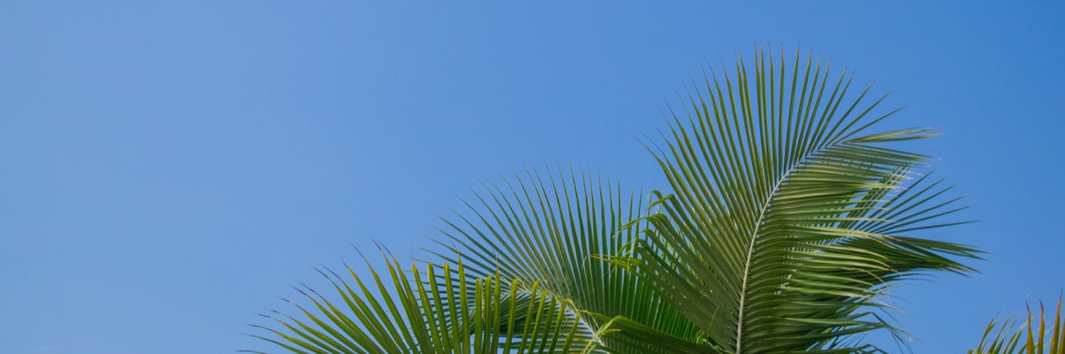 ppaufer_'s profile banner image