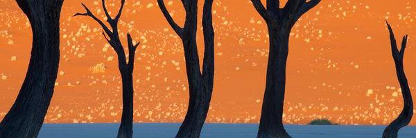 BrookeAt_meNow's profile banner image