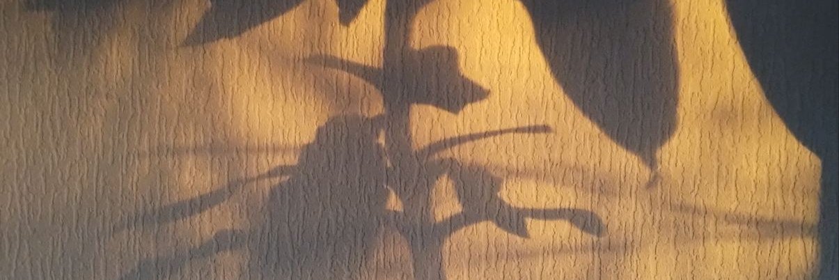 AtvaNtb's profile banner image