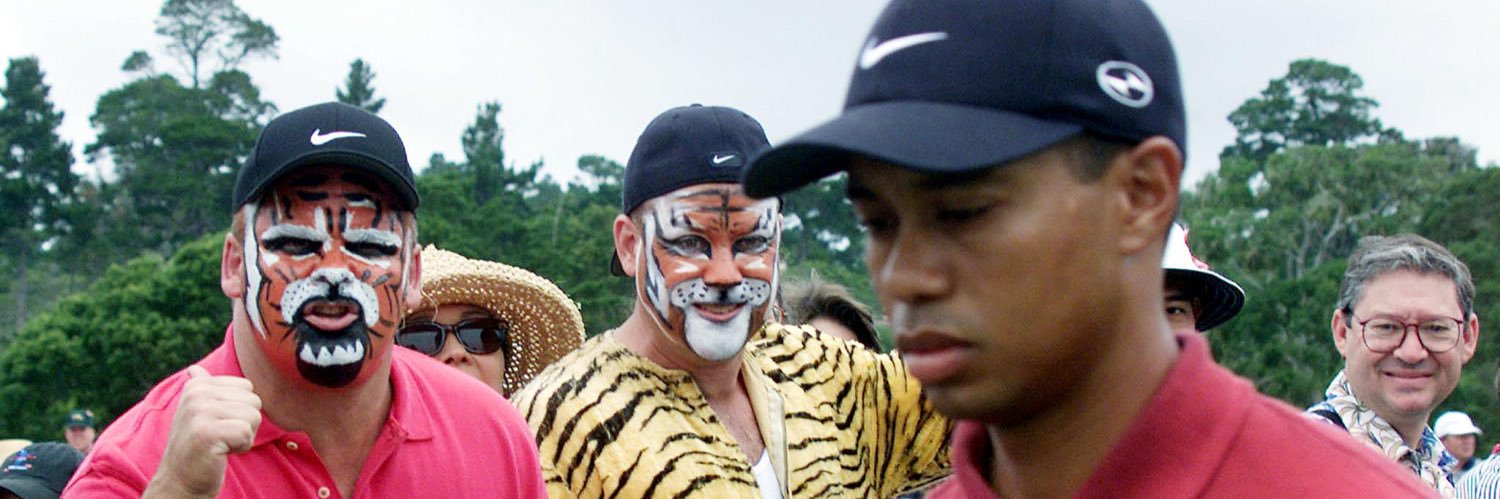 t_pine22's profile banner image