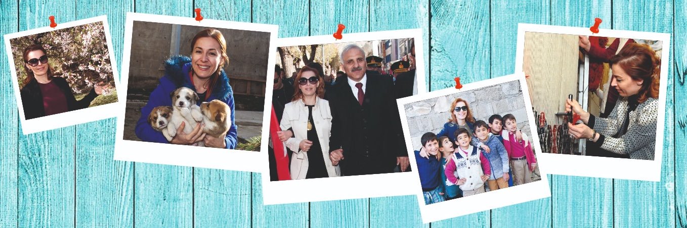 SevcanZorluoglu's profile banner image