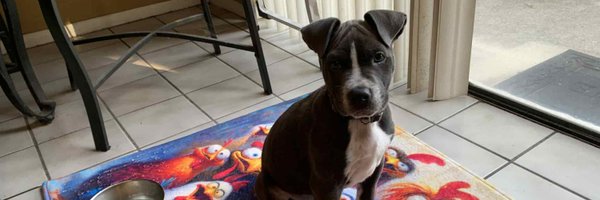 JudiDenton Profile Banner