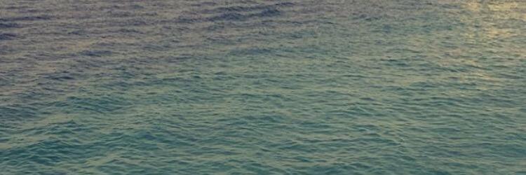 123455nn's profile banner image