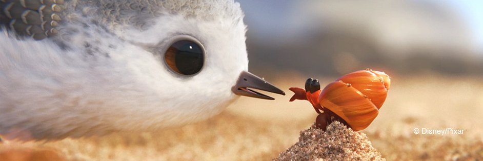 Pixar's OpenUSD banner