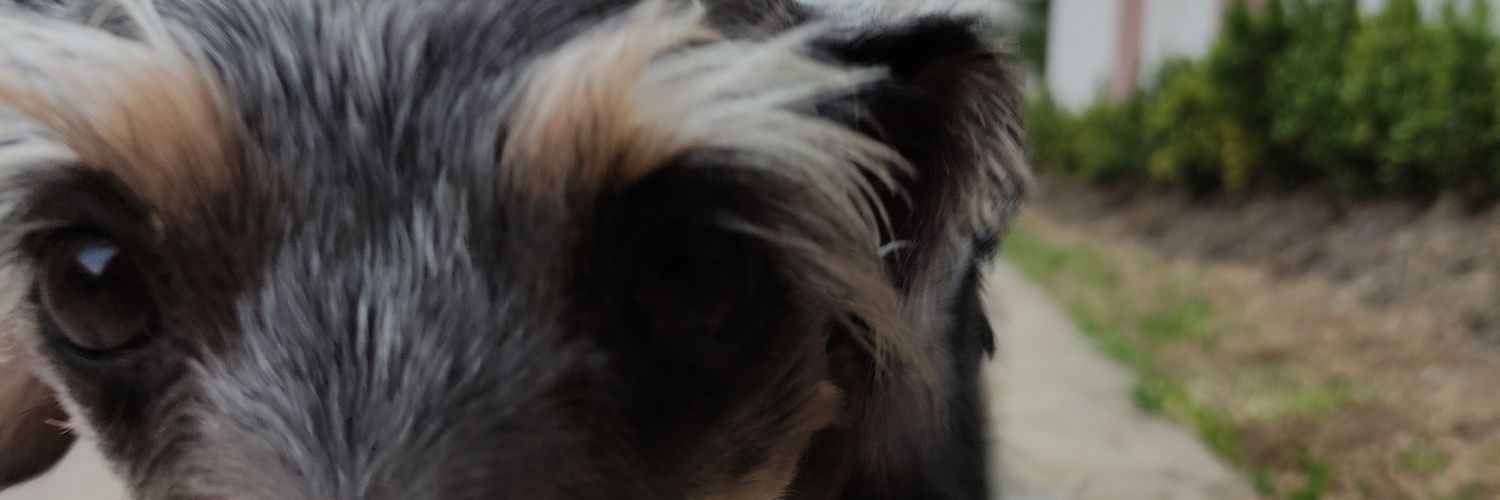 Va_Mi_28's profile banner image