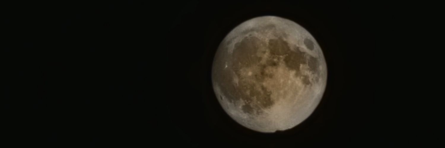 lollila2's profile banner image