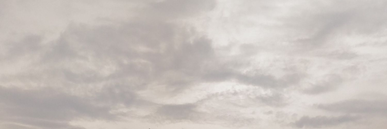 Rustic_Guy's profile banner image