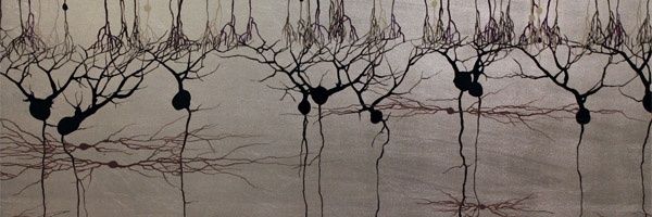 sgdruffell Profile Banner