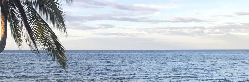 dani_vidal96's profile banner image