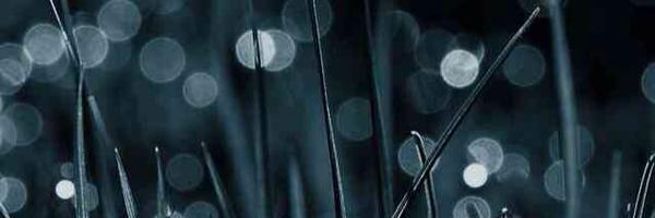 allprecia Profile Banner