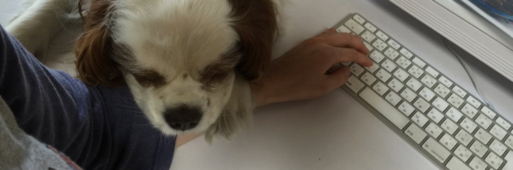 点子 banner
