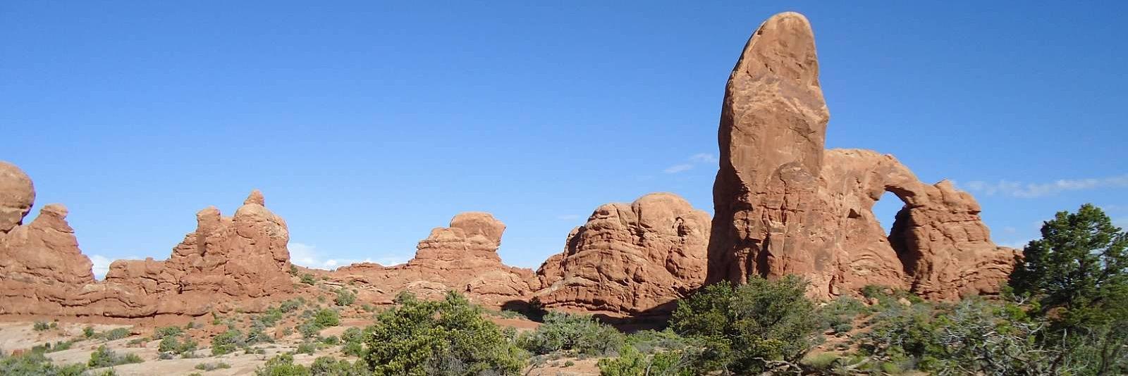 'Rip' Murdock banner