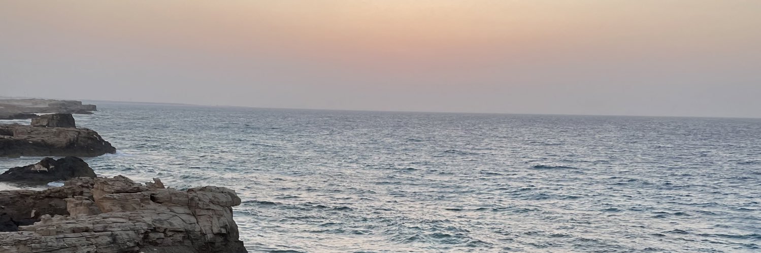 HalaElmasry3's profile banner image
