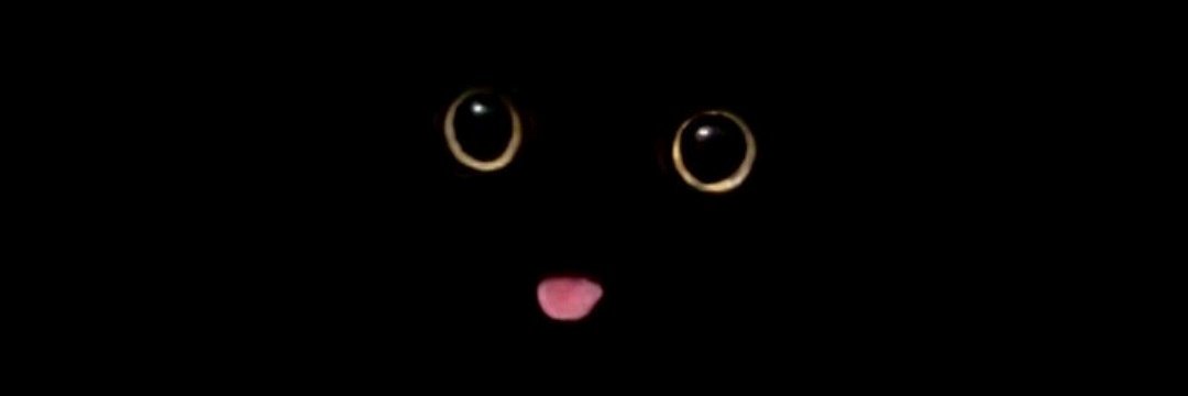 nixcec's profile banner image