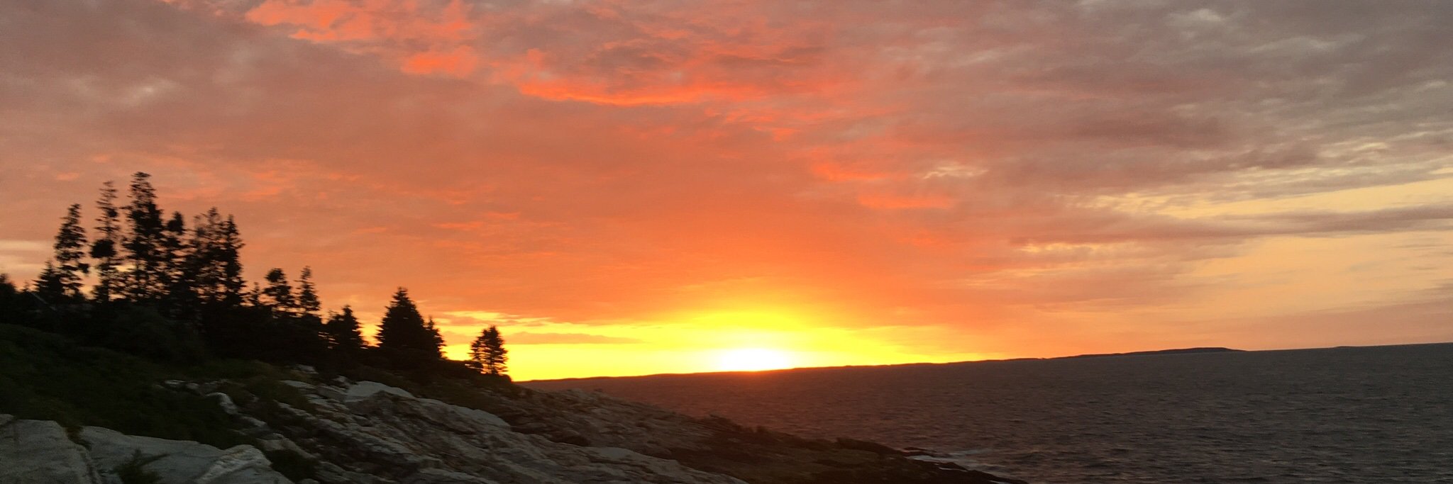 M🌵M ⭐️🐿️⭐️ banner