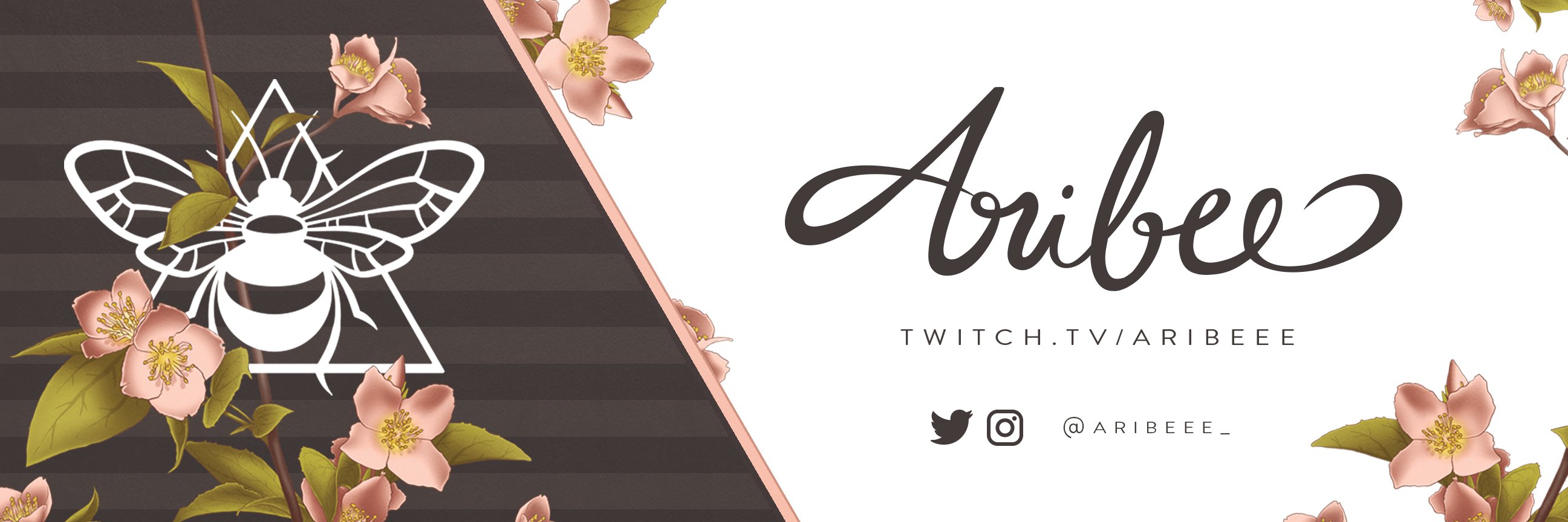 Aribee 🐝 banner