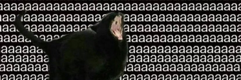 eeortega_'s profile banner image