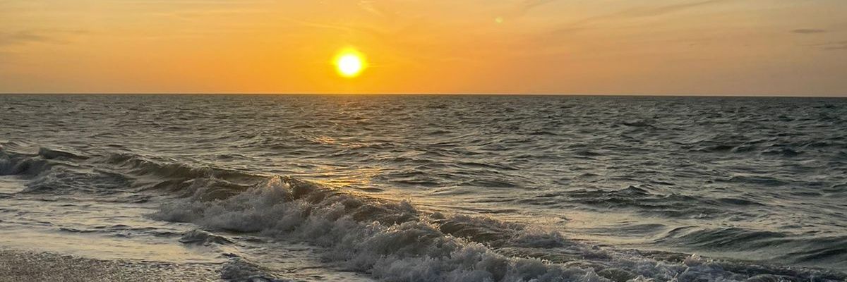 BielkaAcuna's profile banner image
