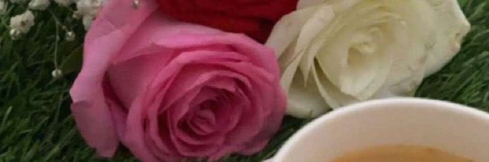 A_N_511's profile banner image