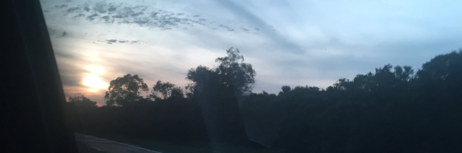 vitoriagamst's profile banner image