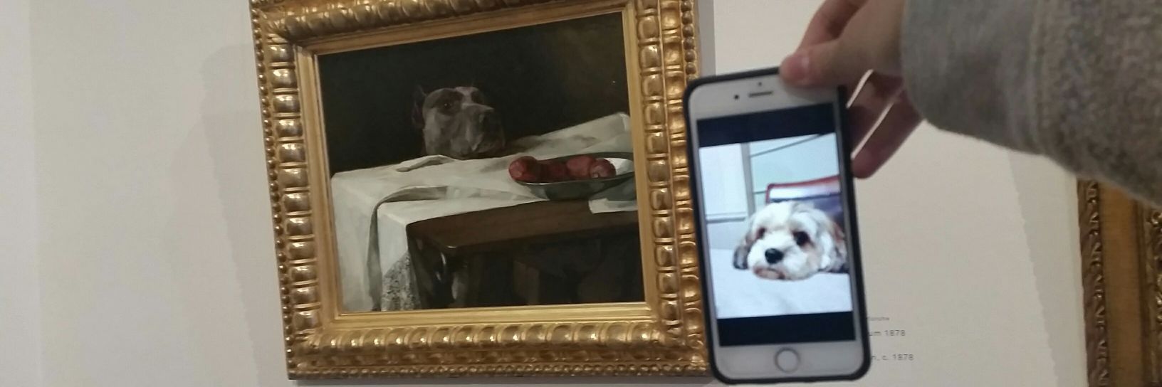 rchomium's profile banner image