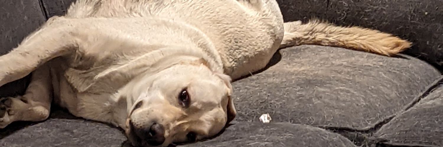 BurnedUDown's profile banner image