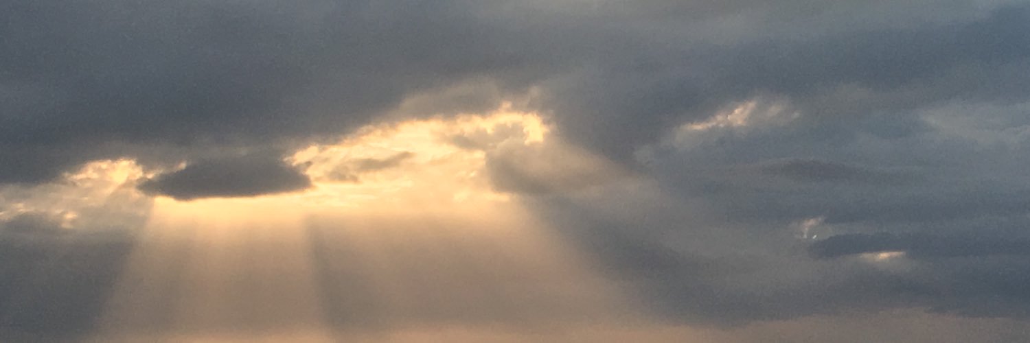 Suzaan7's profile banner image