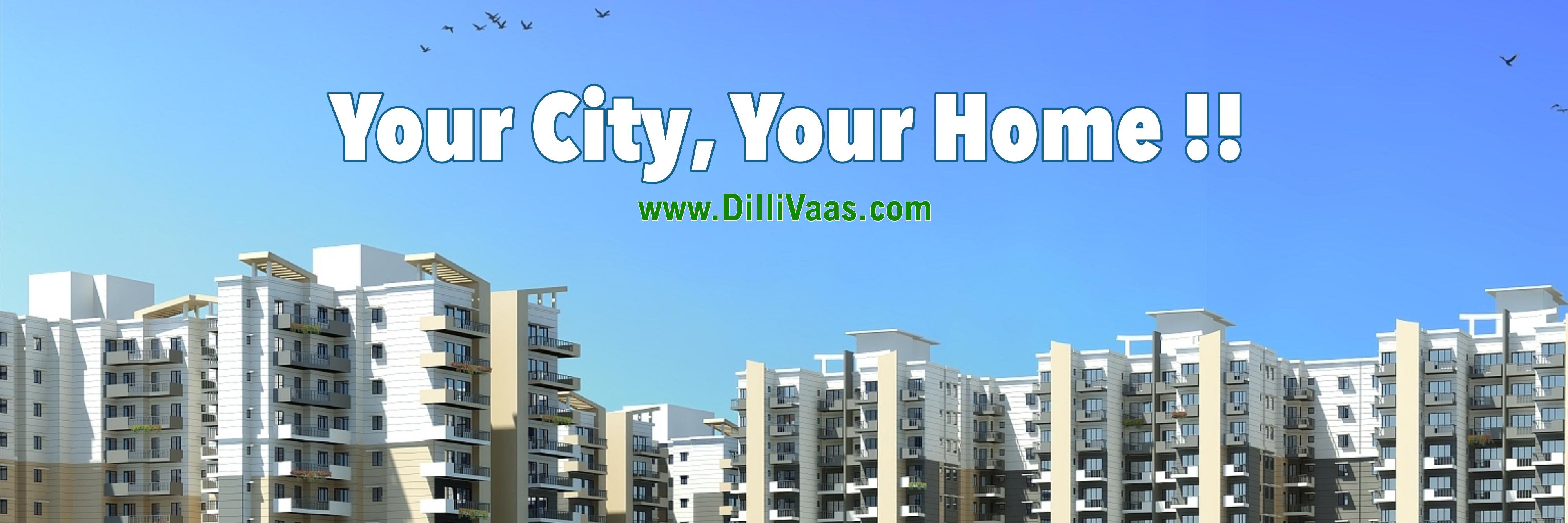 DilliVaas's profile banner image