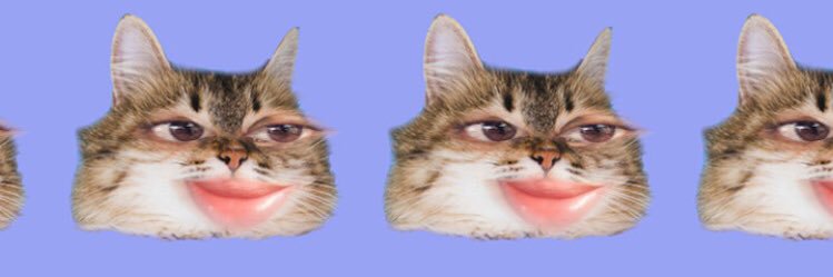 alysforreal's profile banner image