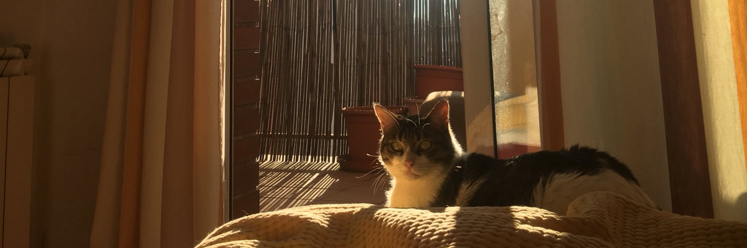 SergioRoldann's profile banner image