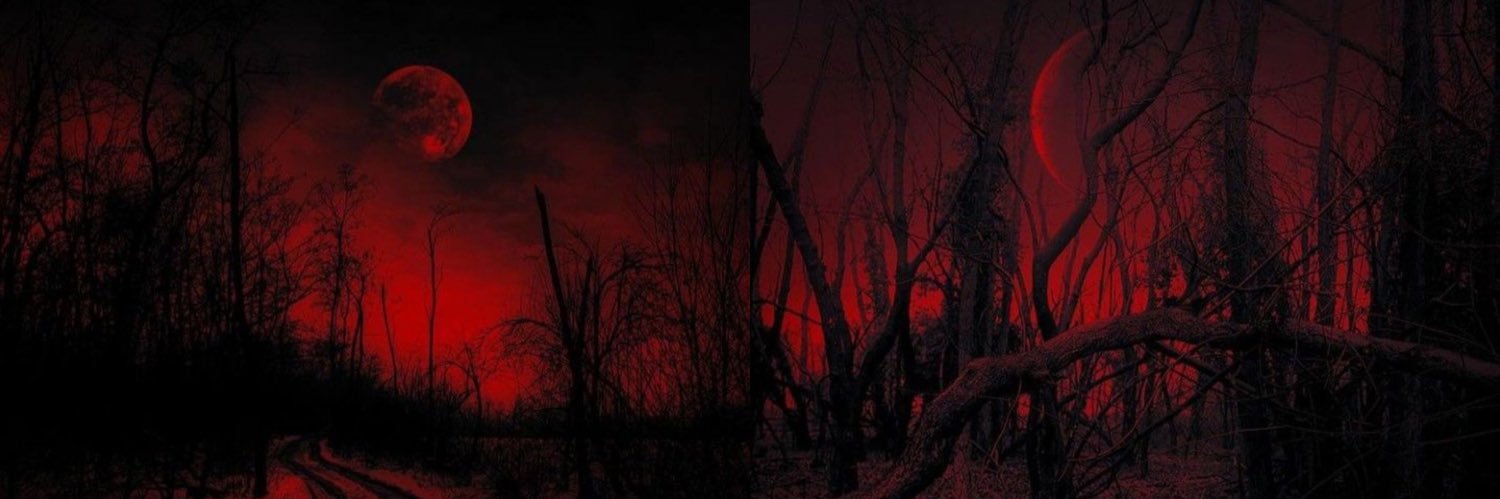 vampileta's profile banner image