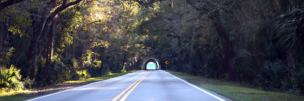 thepaulkyle.bsky.social banner