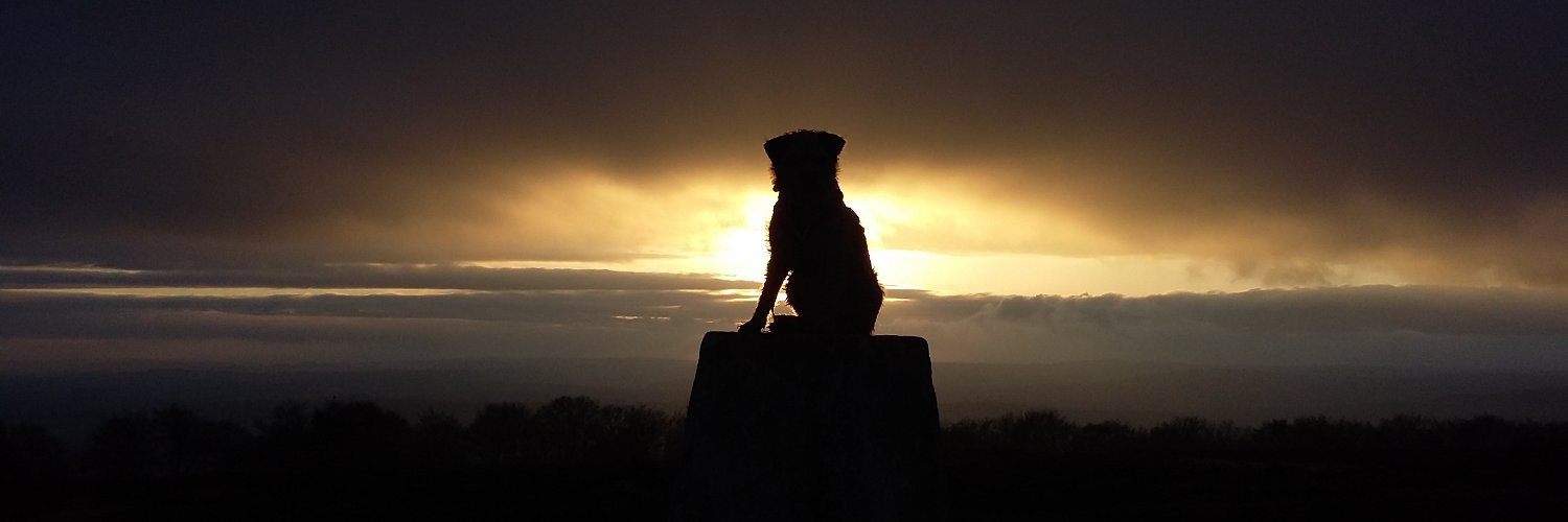 Dr Dame Pebble CBE banner