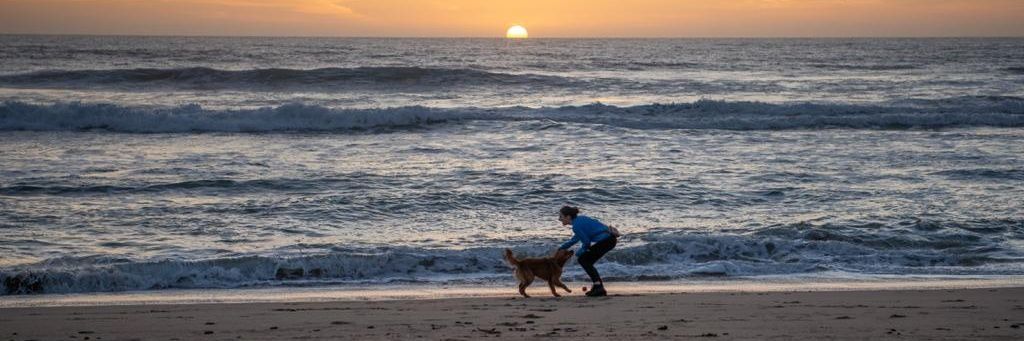 Hannah Overbye-Thompson banner