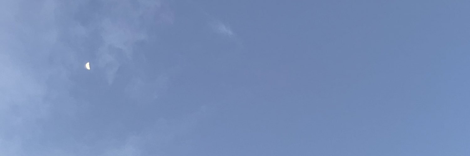 malxne's profile banner image