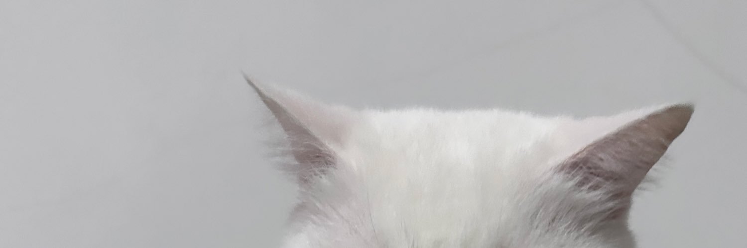 shelldonnmook23's profile banner image
