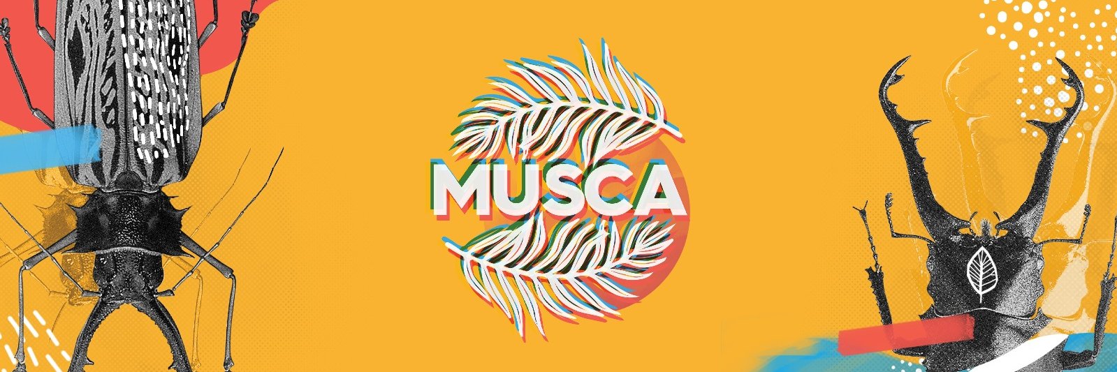 MuscaBdg's profile banner image