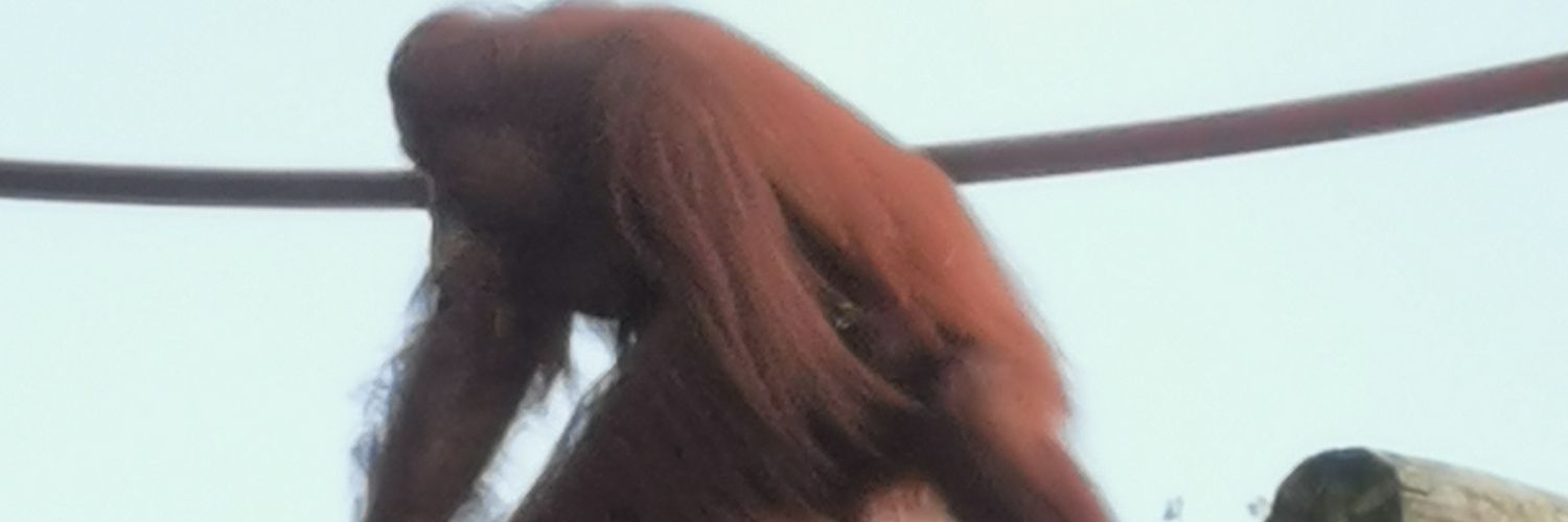 Besselheim's profile banner image