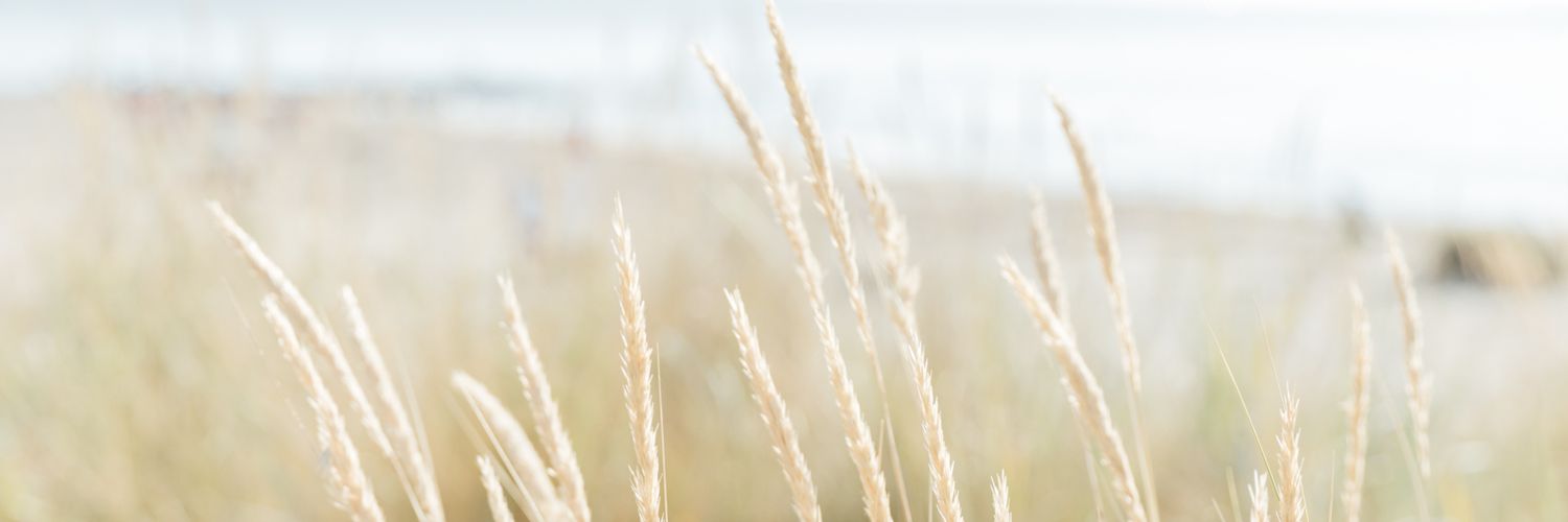 JoKnowles34's profile banner image