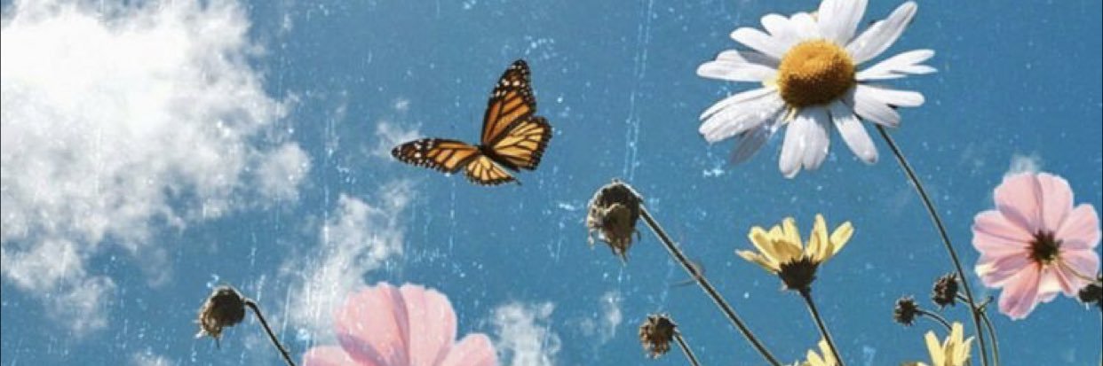 _haileeanna's profile banner image