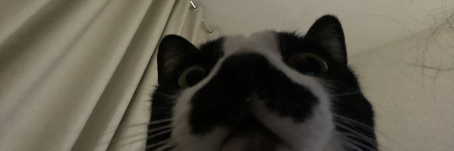 millenaambrozio's profile banner image